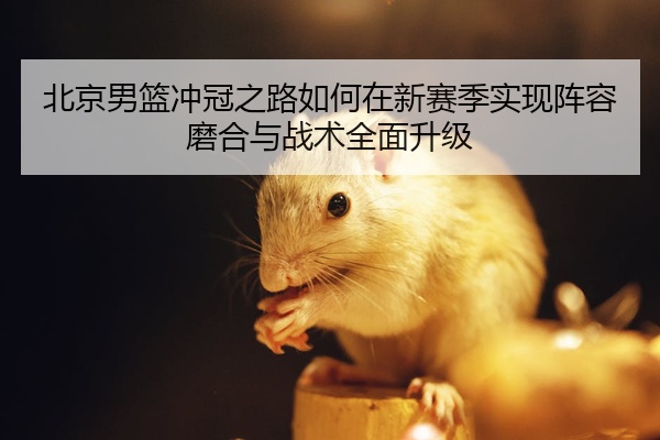 北京男篮冲冠之路如何在新赛季实现阵容磨合与战术全面升级